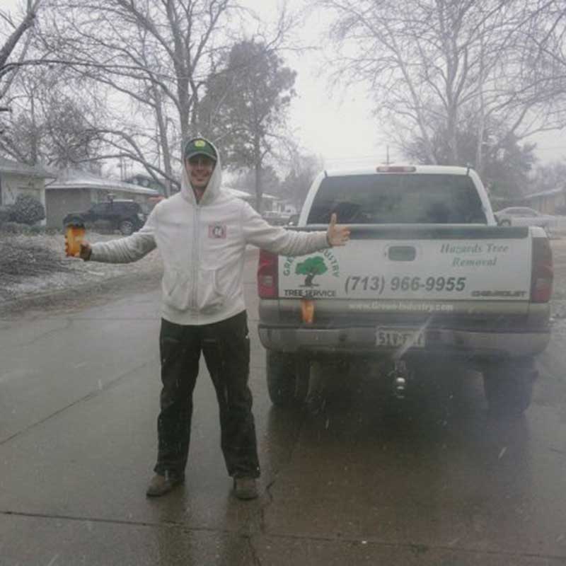 Tree Trimming Service