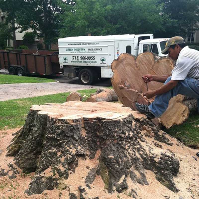 Tree Trimming Service