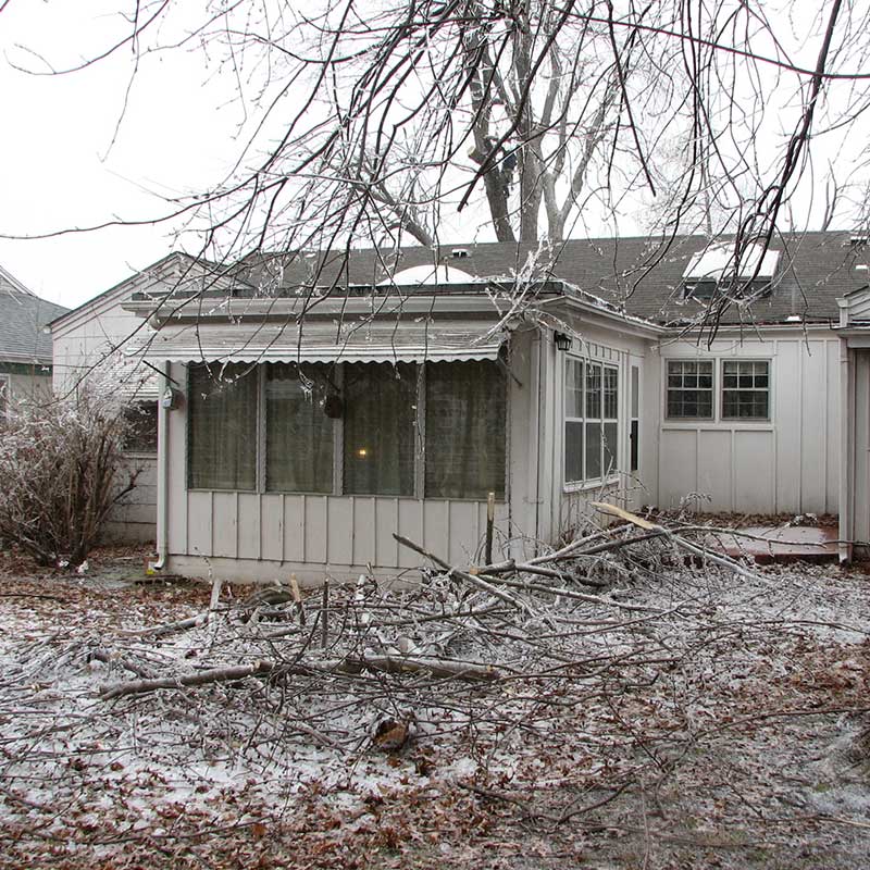 Tree Trimming Service