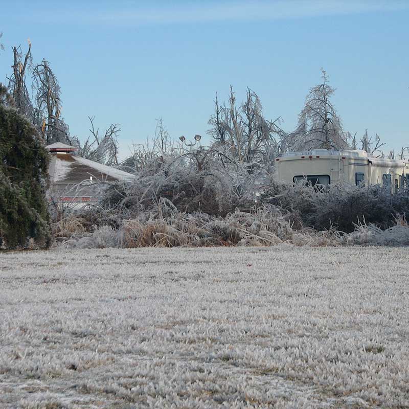 Houston Tree Service