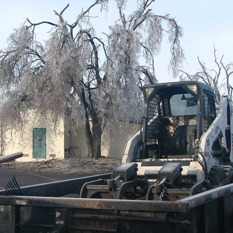 Houston Tree Service