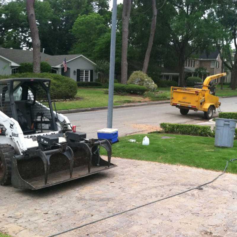 Houston Tree Service