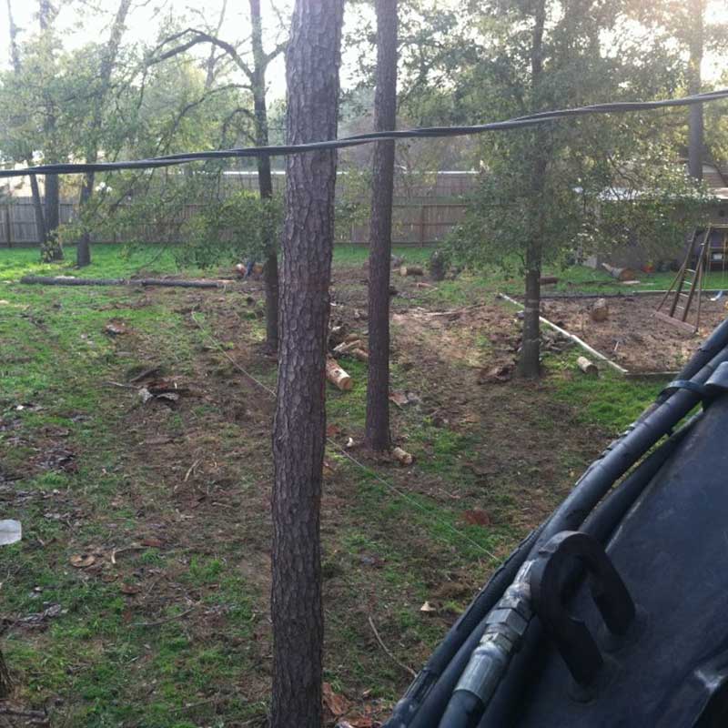 Houston Tree Service