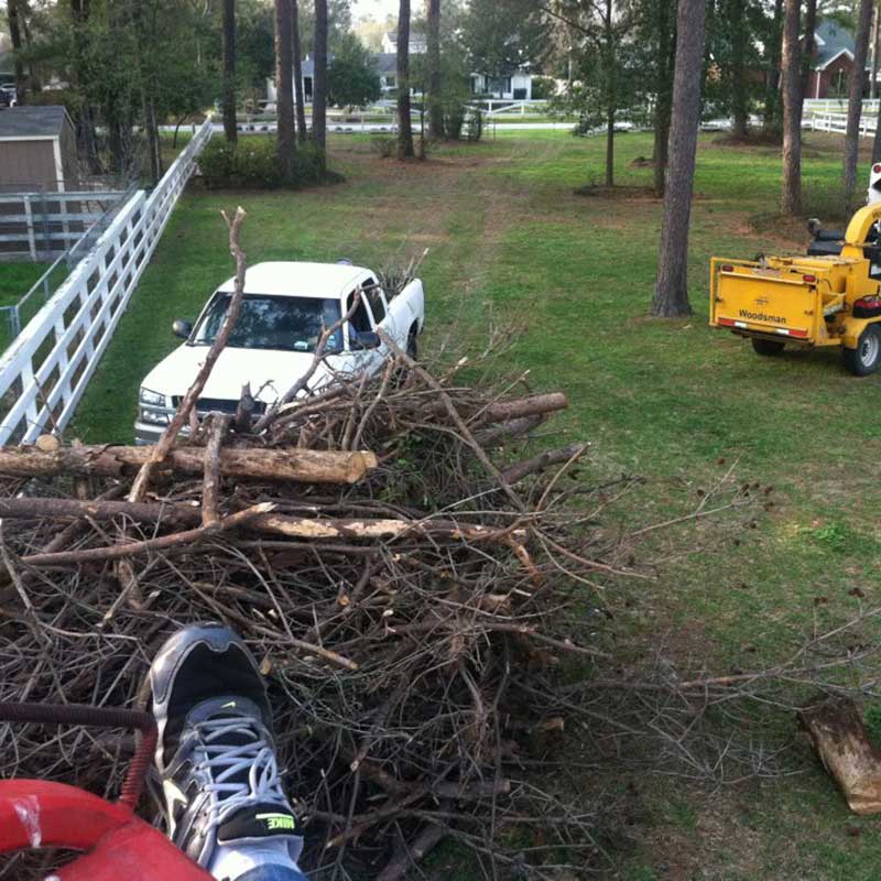 Houston Tree Service
