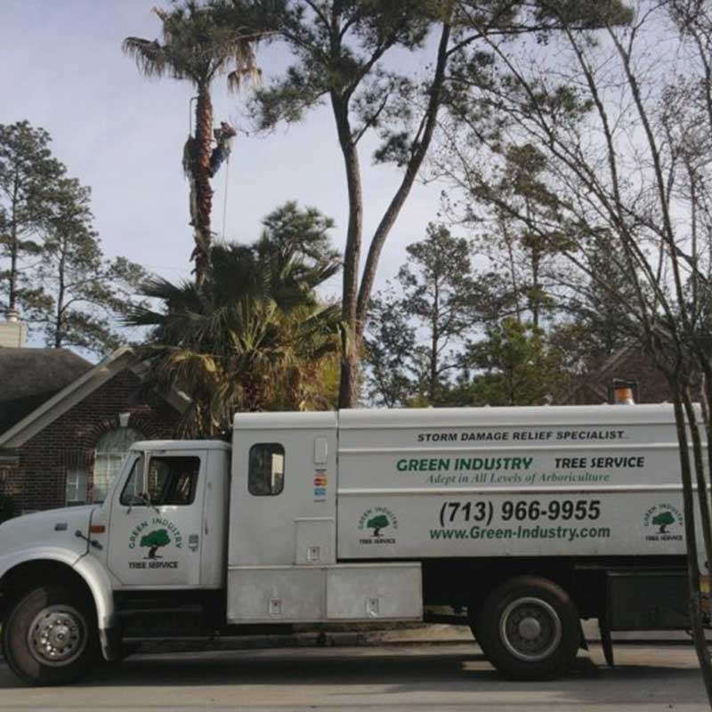 Tree Trimming Service