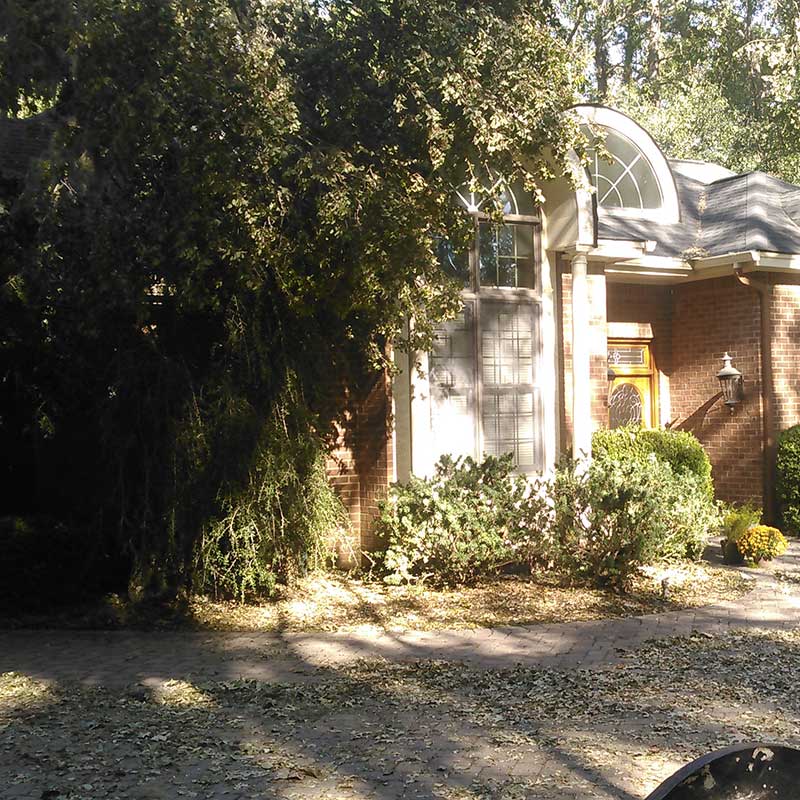 Houston Tree Service