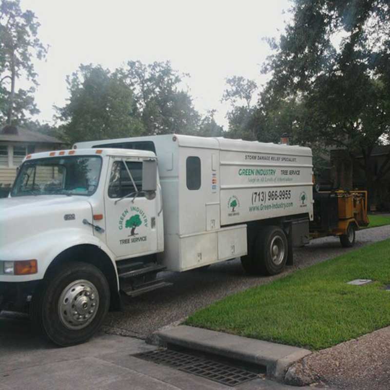 Tree Trimming Service