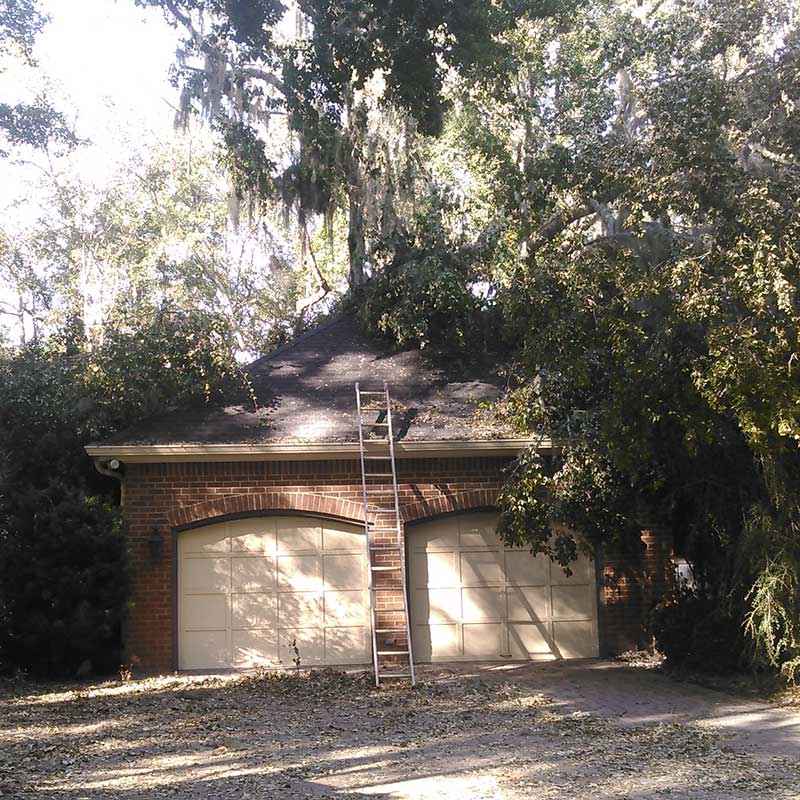 Houston Tree Service