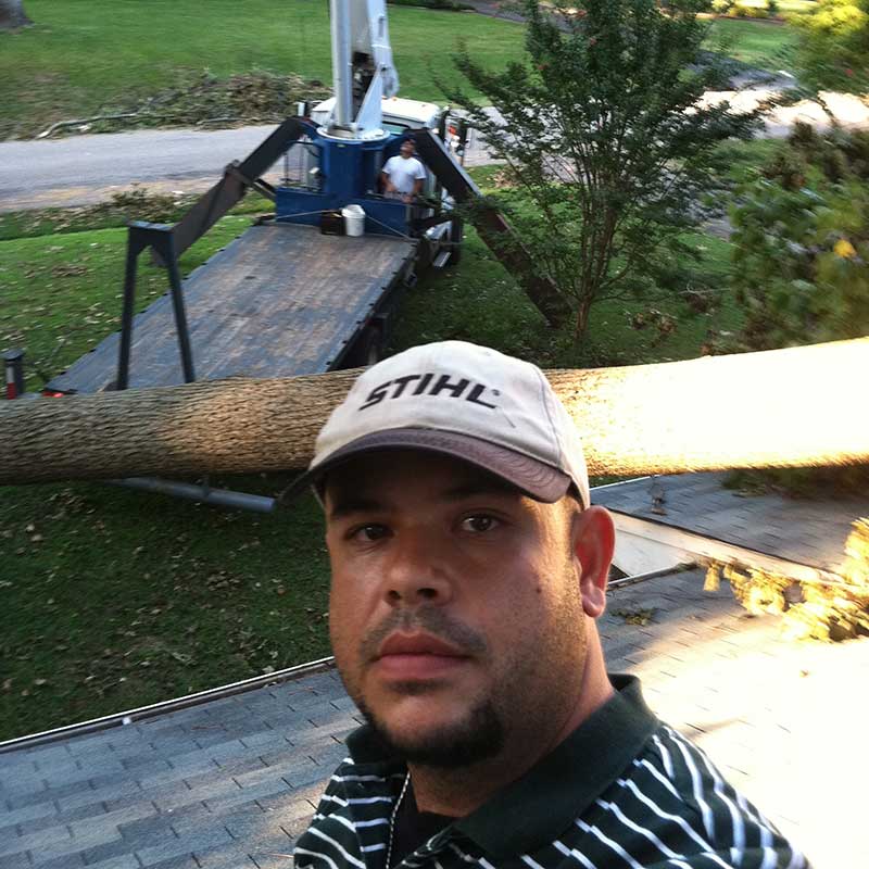 Houston Tree Service