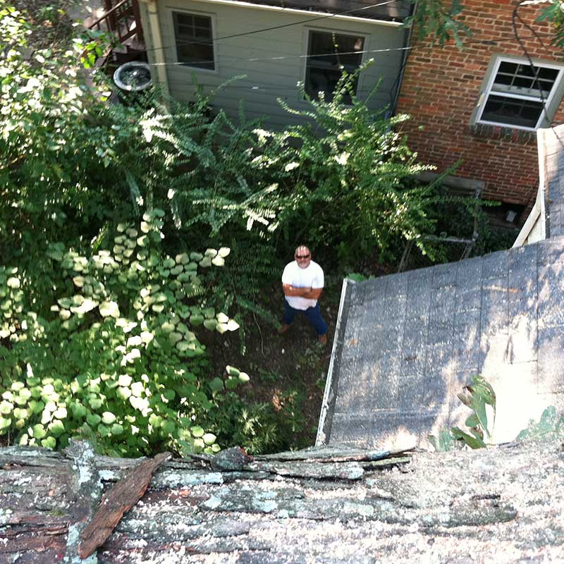 Tree Trimming Service