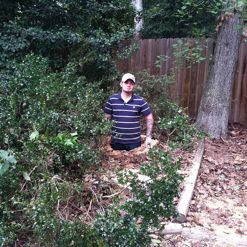 Tree Trimming Service