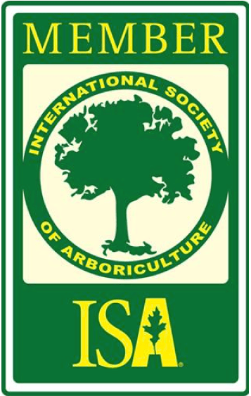 certified licensed arborist houston tree service 3