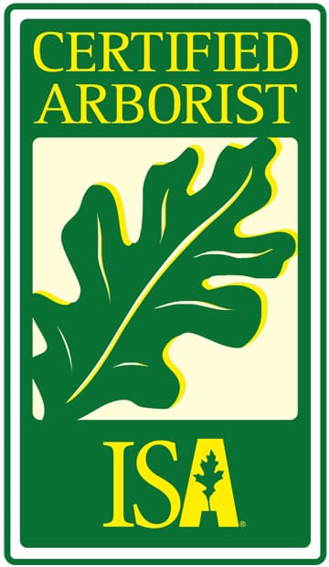 certified licensed arborist houston tree service
