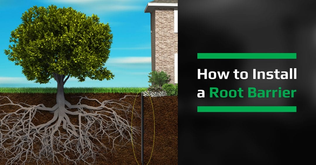 how to install root barrier