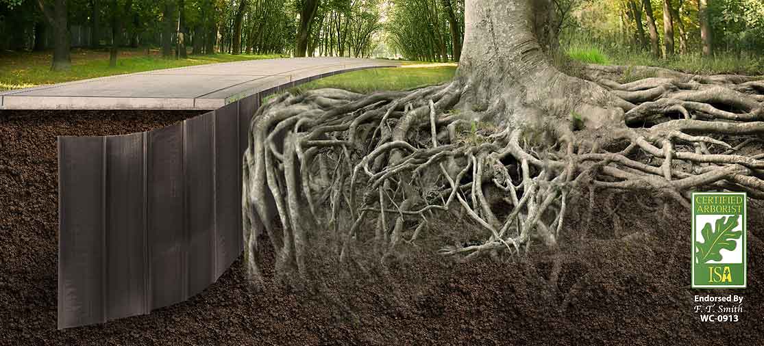 ROOT BARRIERS 2 sidewalk